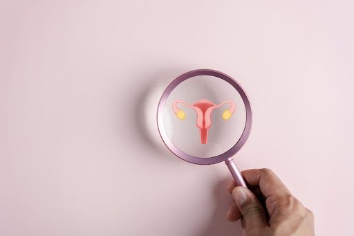 Understanding Your Body: The Signs of Ovulation When on Clomid